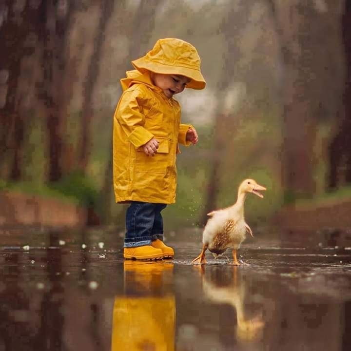 imagem bonita