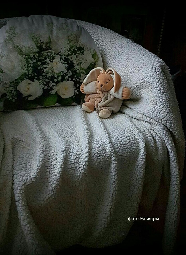 зайка