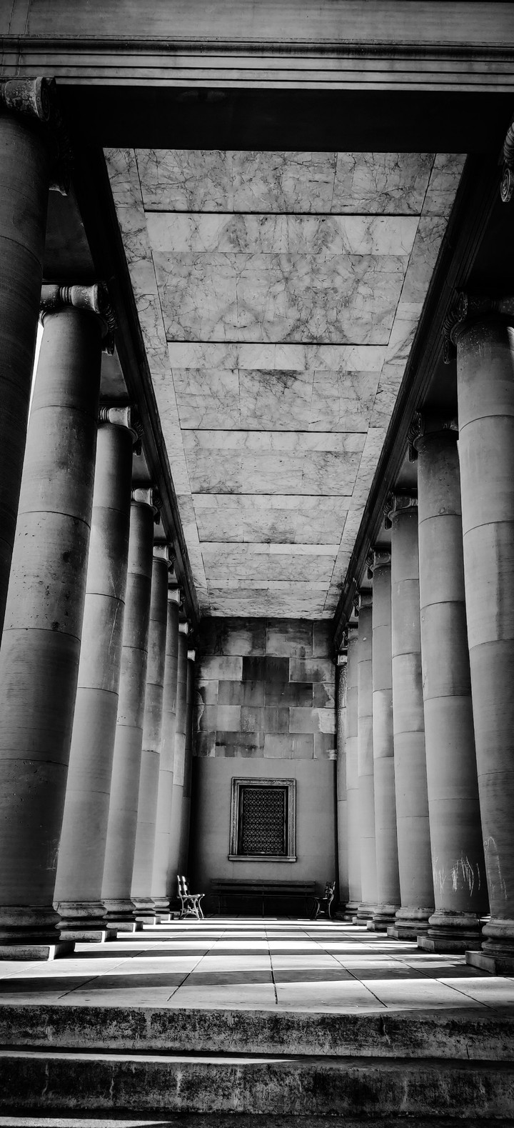 monochrome