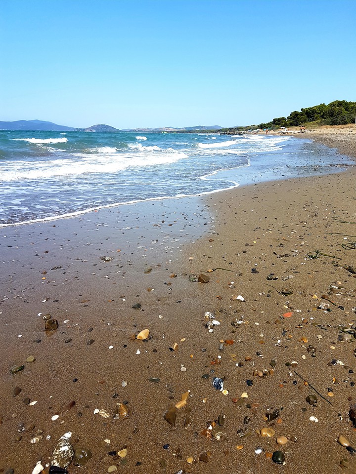 mare