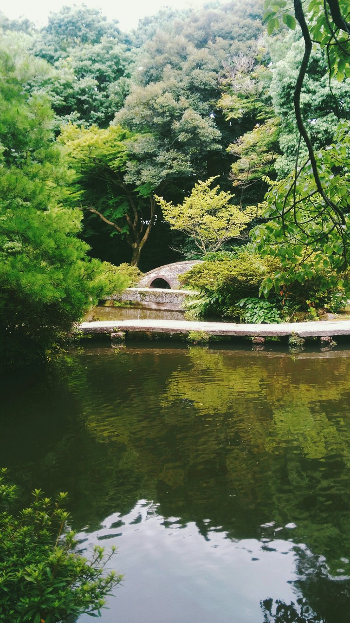 green quiet