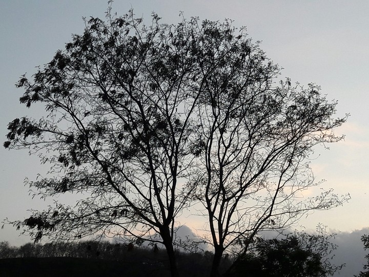 evening so calm n serene