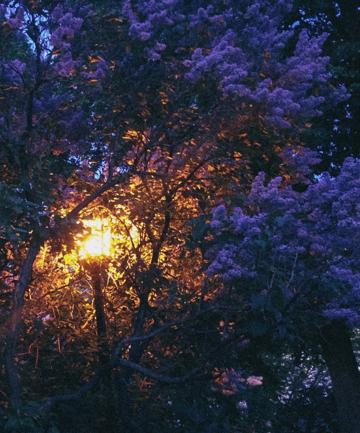 ♡