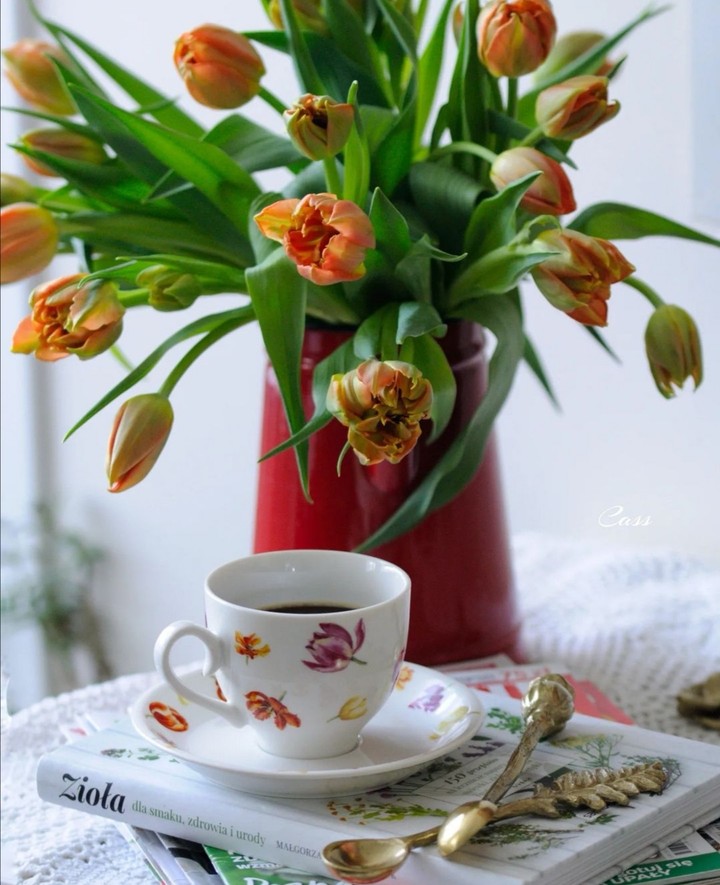 tulip