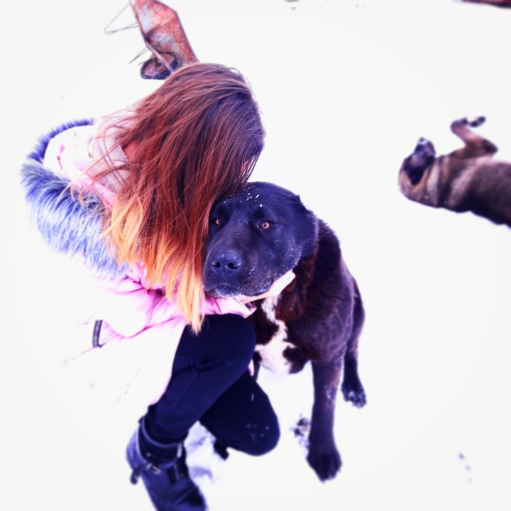 Pets