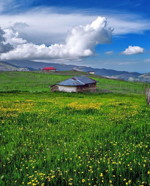 Iran , Gilan