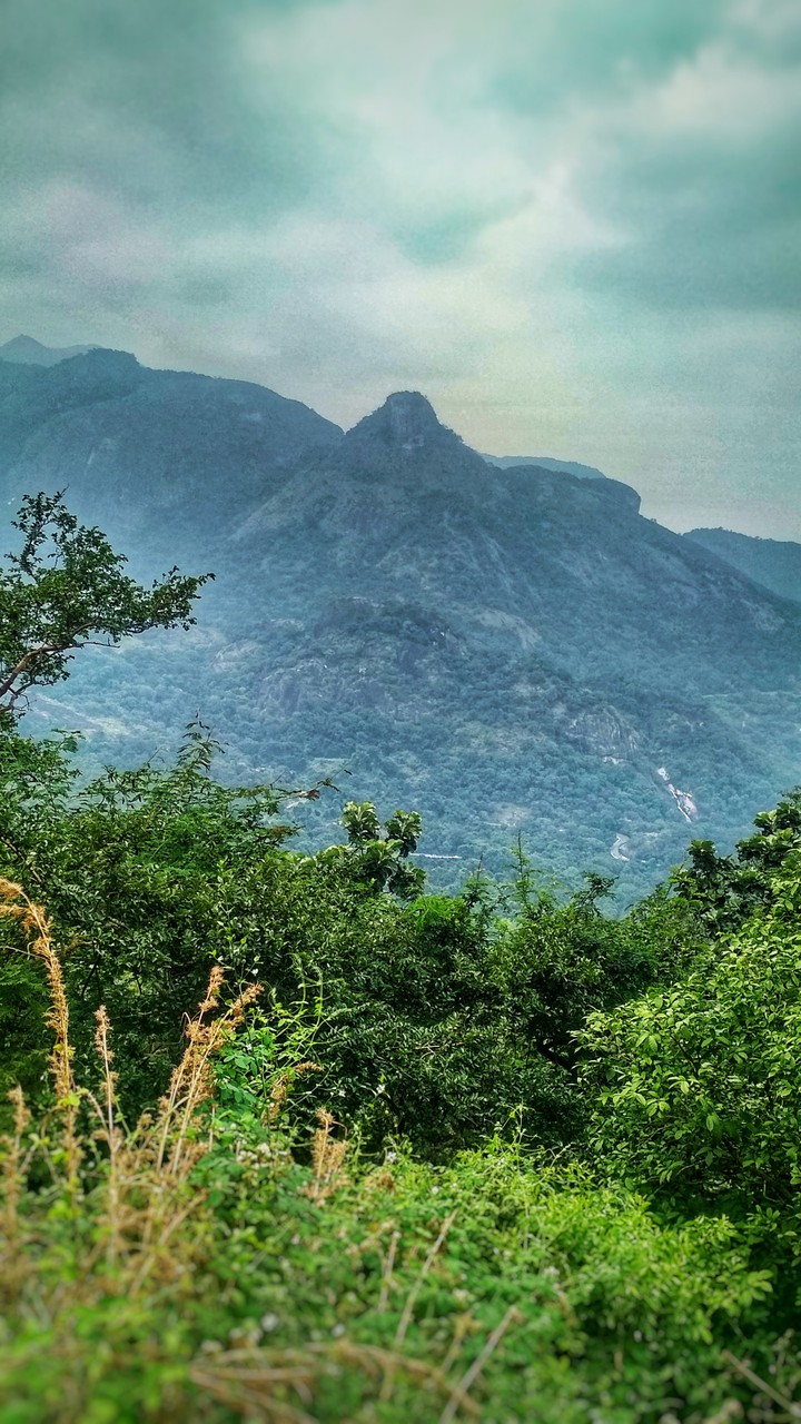 Valparai Hills