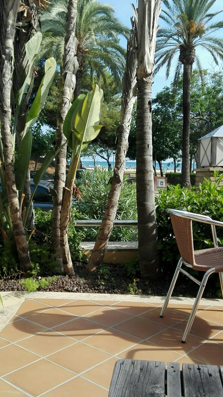 Terraza
