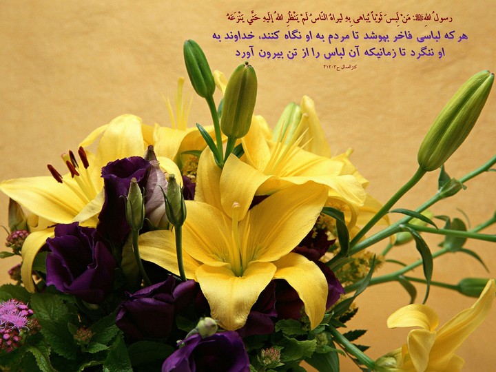 hadis