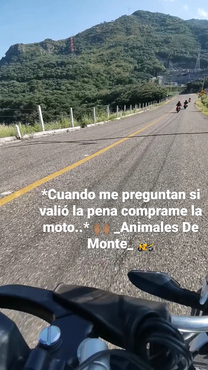 Animales De Monte