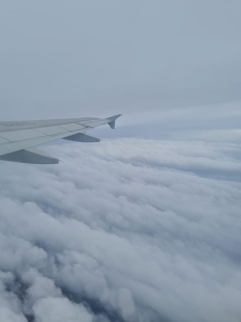 airplane