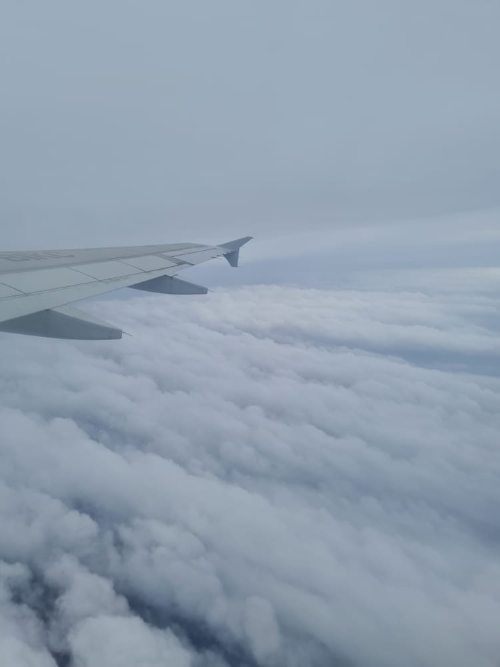 airplane