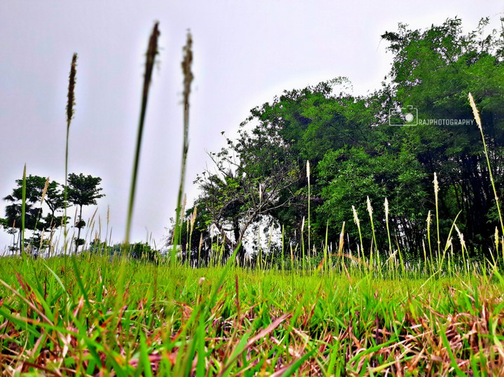 mobile click