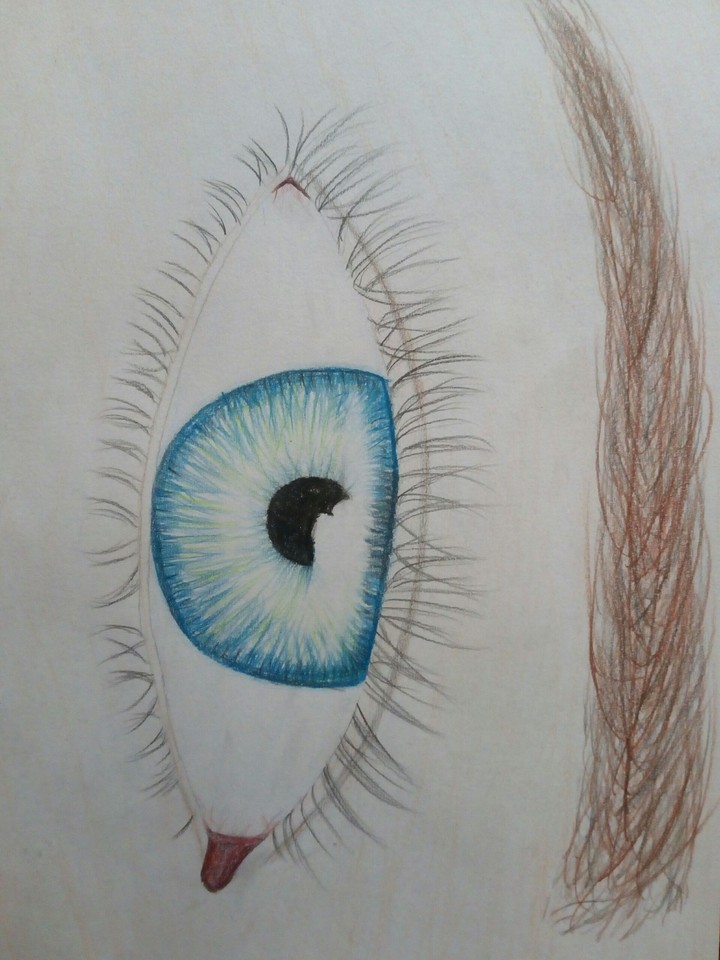 Draw by myself