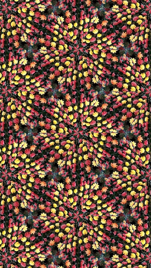 Kaleidoscopes by SexyMugsy