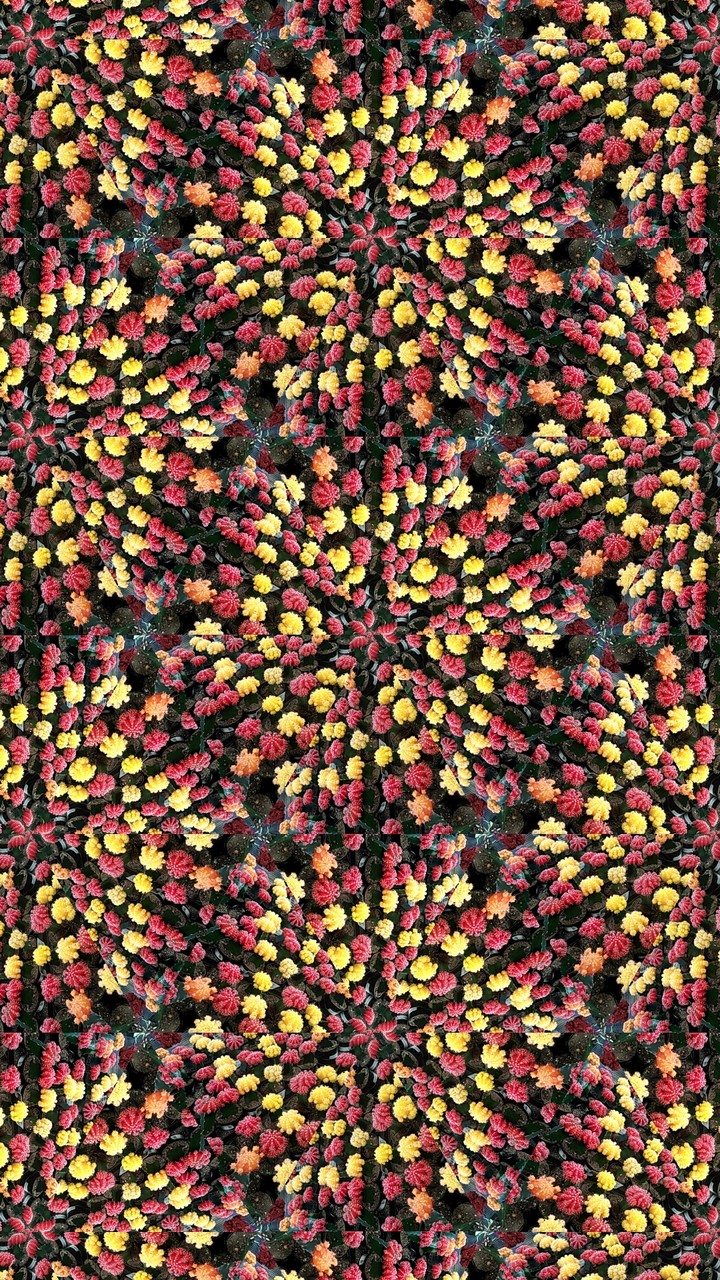 Kaleidoscopes by SexyMugsy