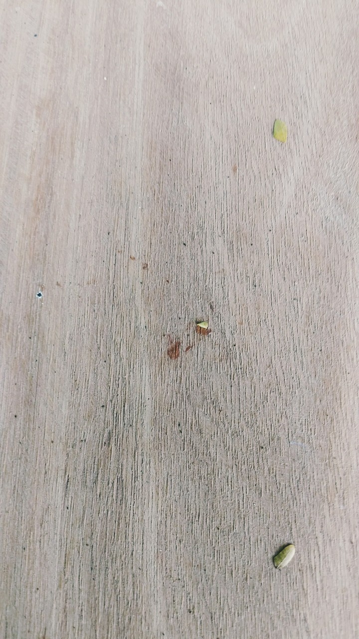 Table in a Park