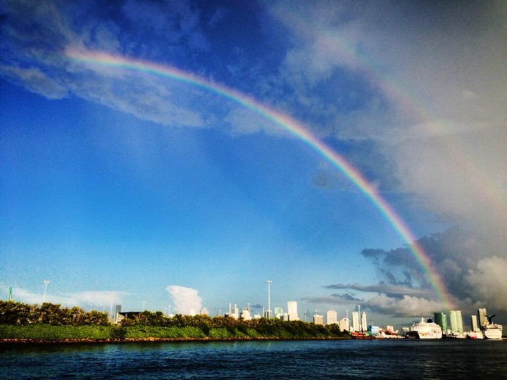 Miami rainbow