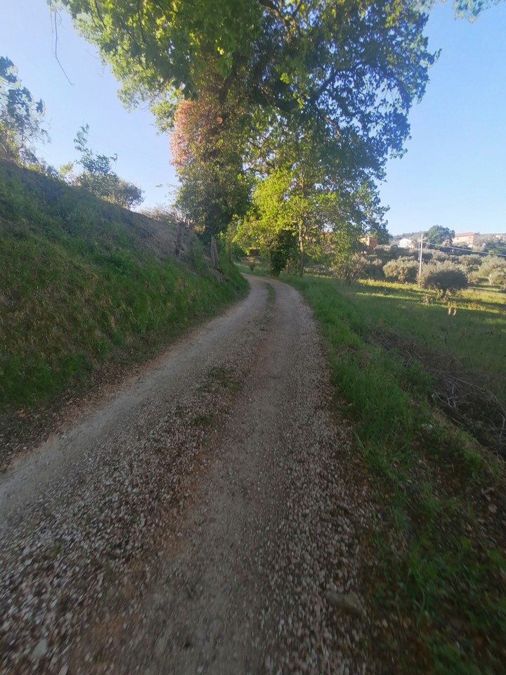 strada