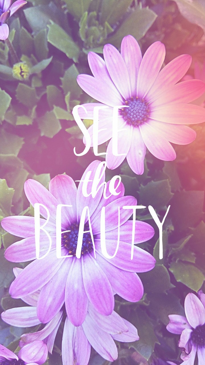 See The Beauty