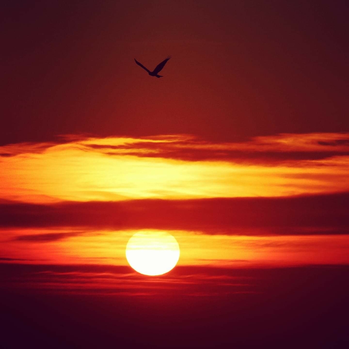 Sunset, Bir Billing