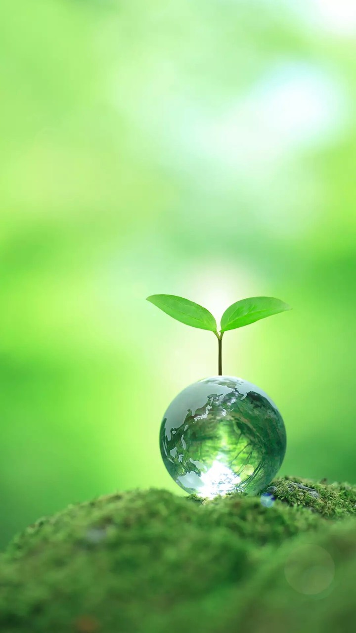 green life