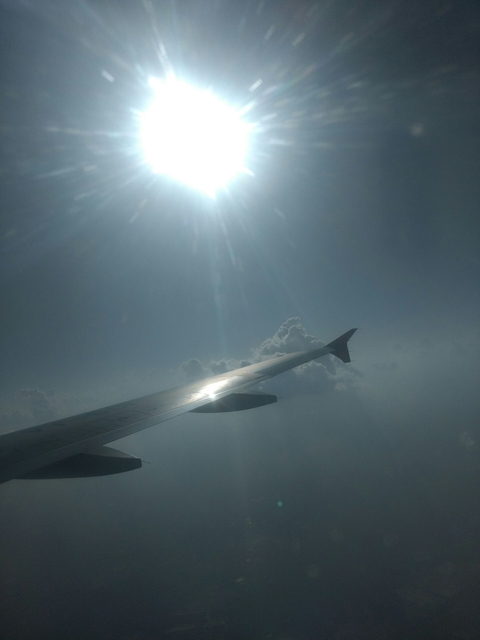 Air Wing