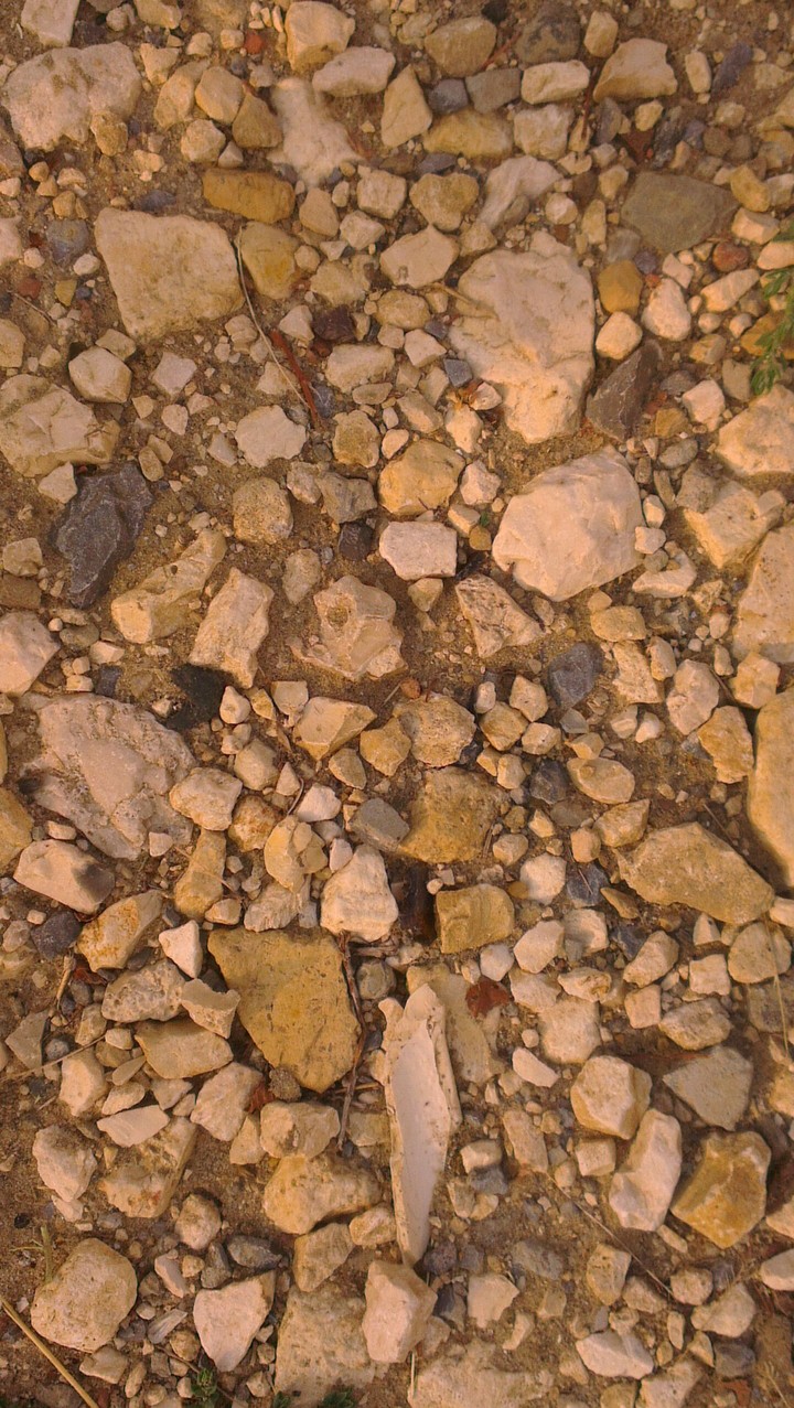 rocks