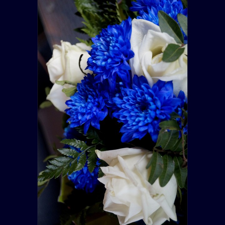 blue and white flowers