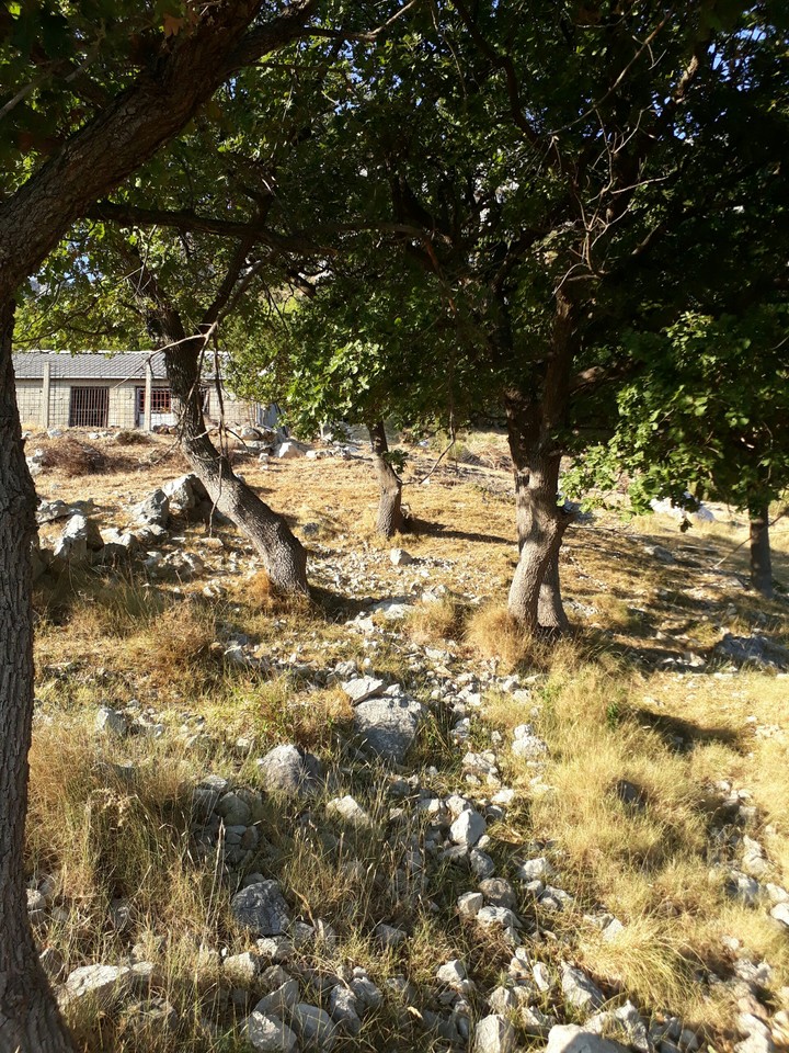 Stone Path