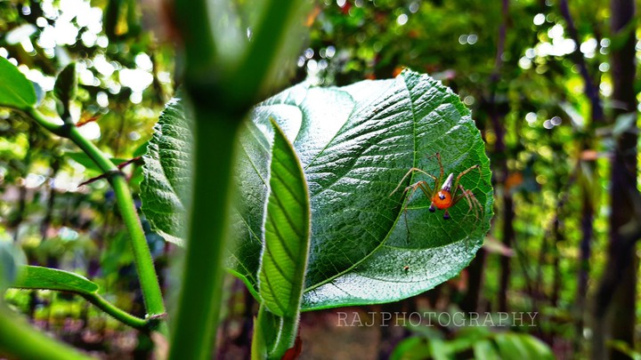 Mobile click