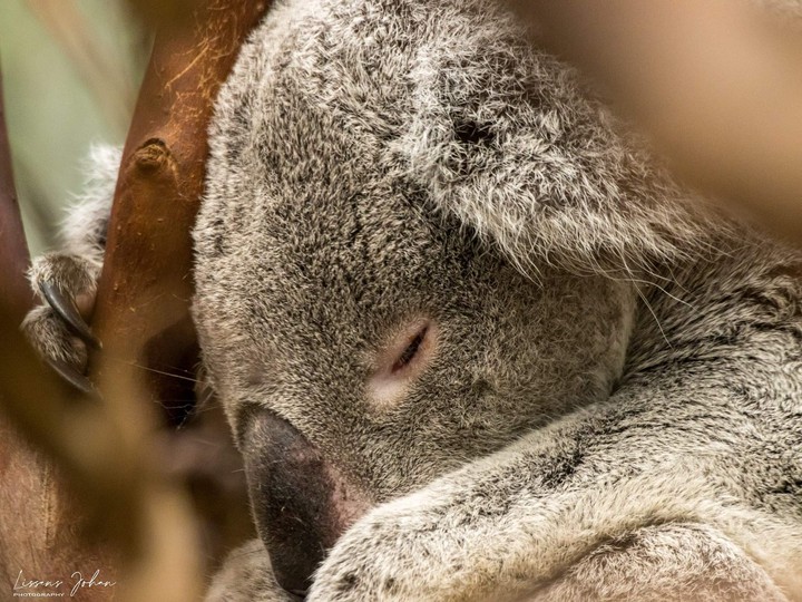 Sleeping