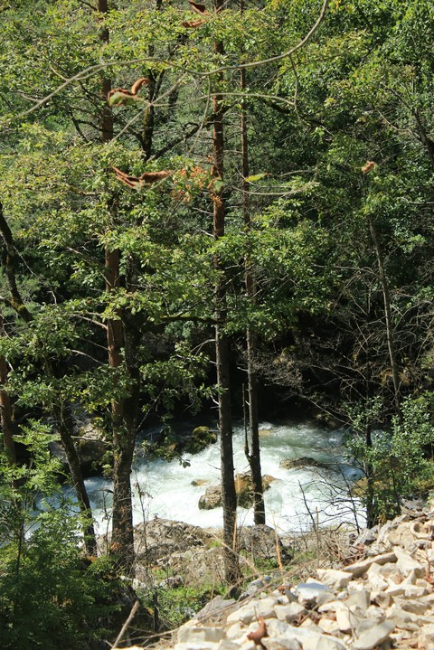 The nature is always beautiful/ml/