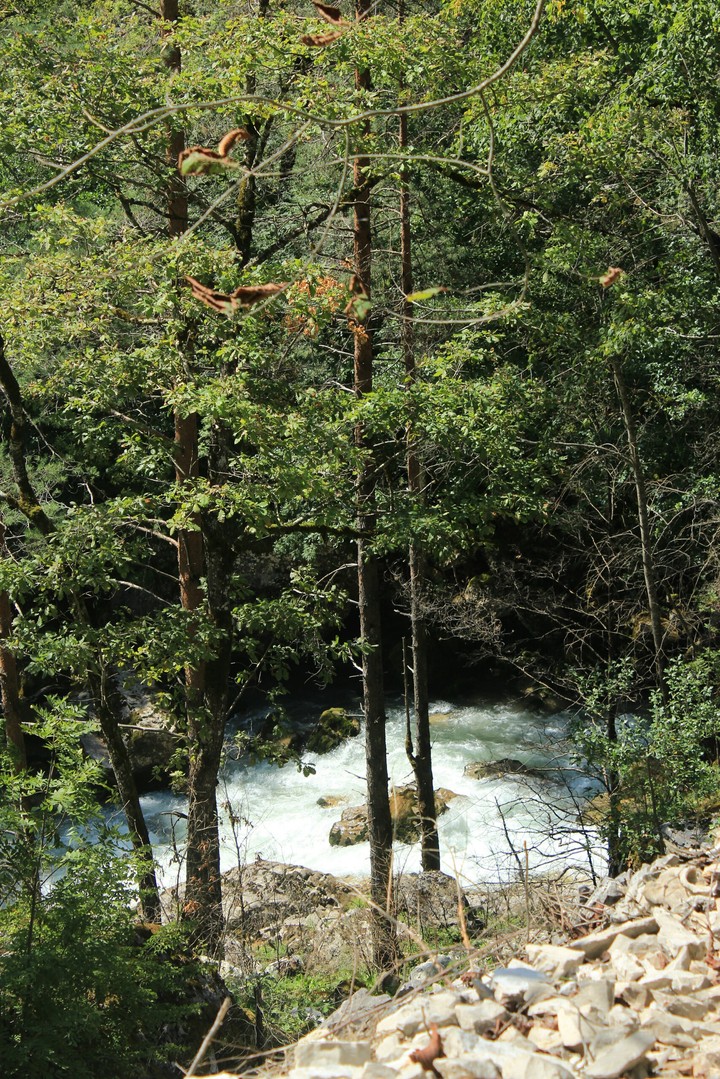 The nature is always beautiful/ml/