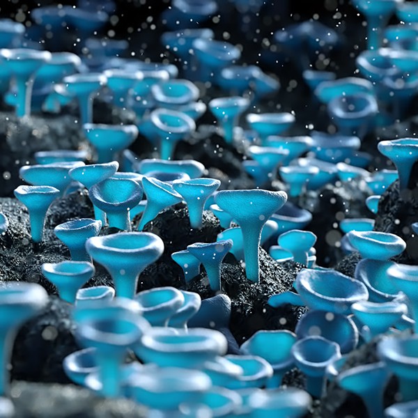 Micro