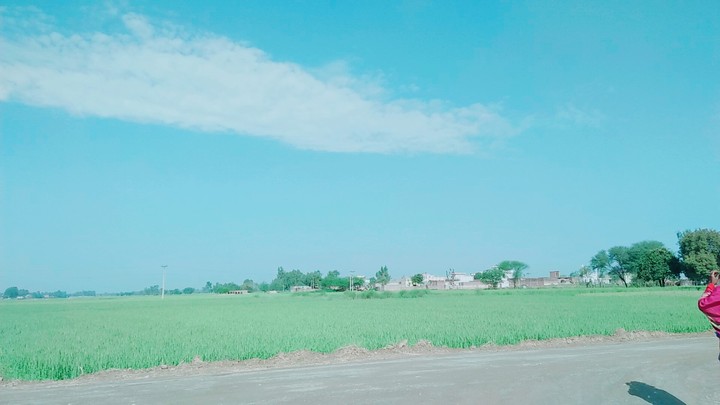 Nature