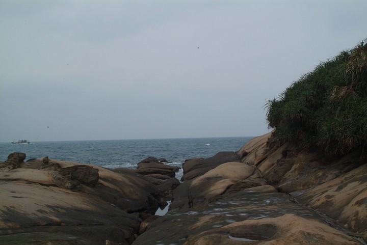 Scenics