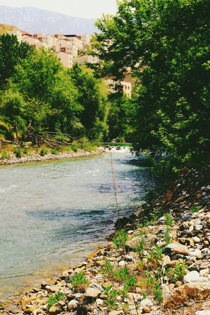 saklı güzellik