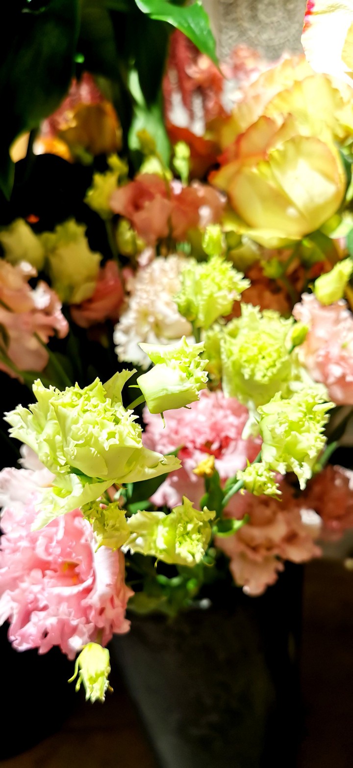 color flower