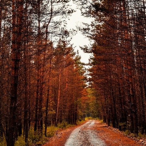 осенью тепло