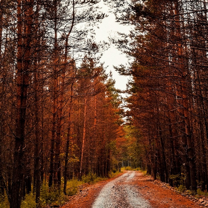 осенью тепло
