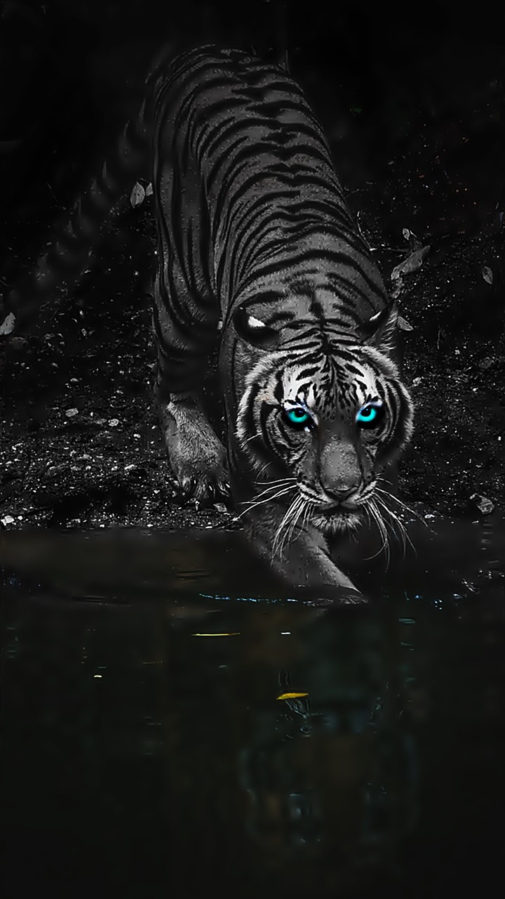 Magic Tiger