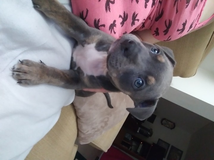 My handsome boy