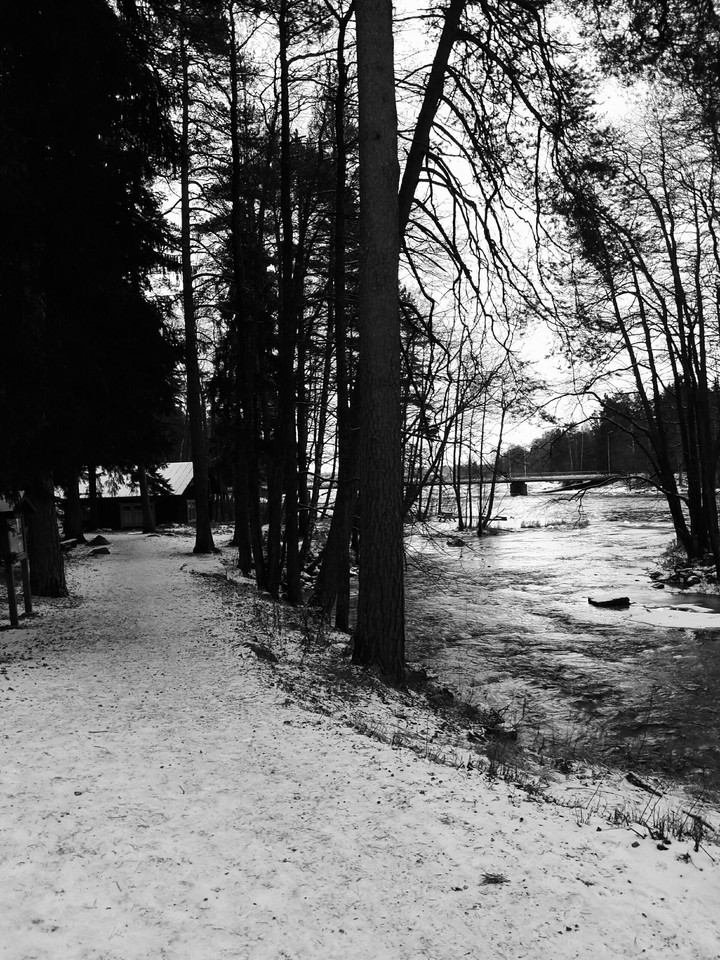 Winter