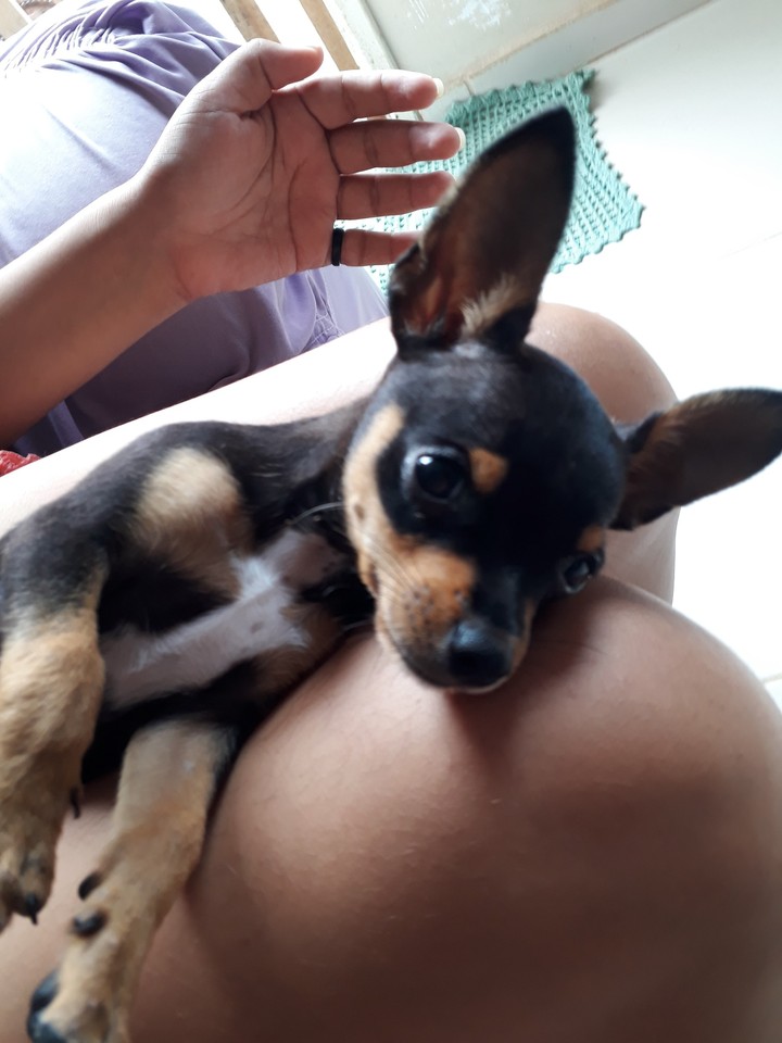 Meu neném