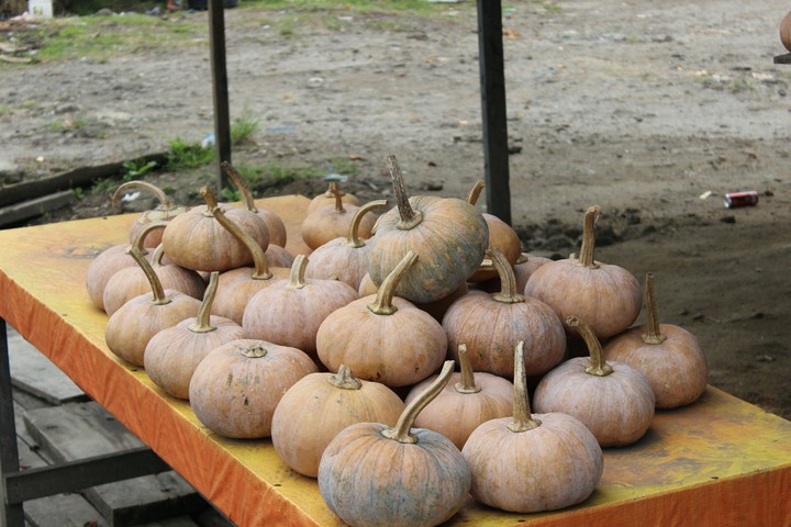 Pumpkins