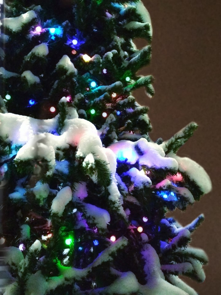 christmas tree