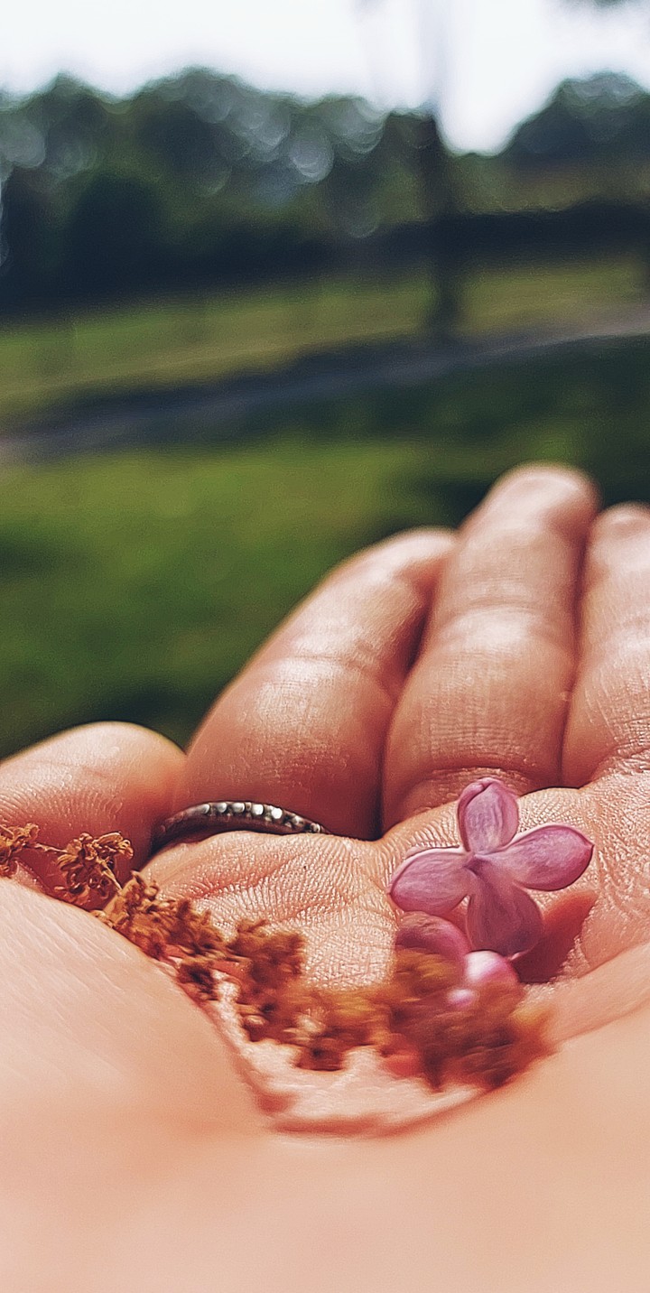 little treasures