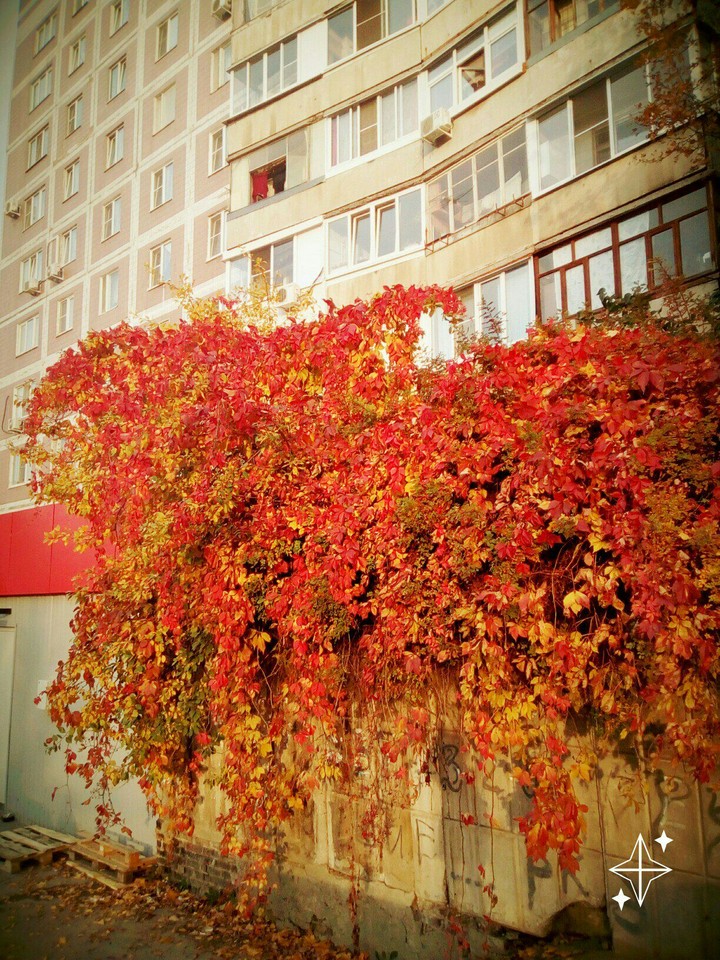 мой дом