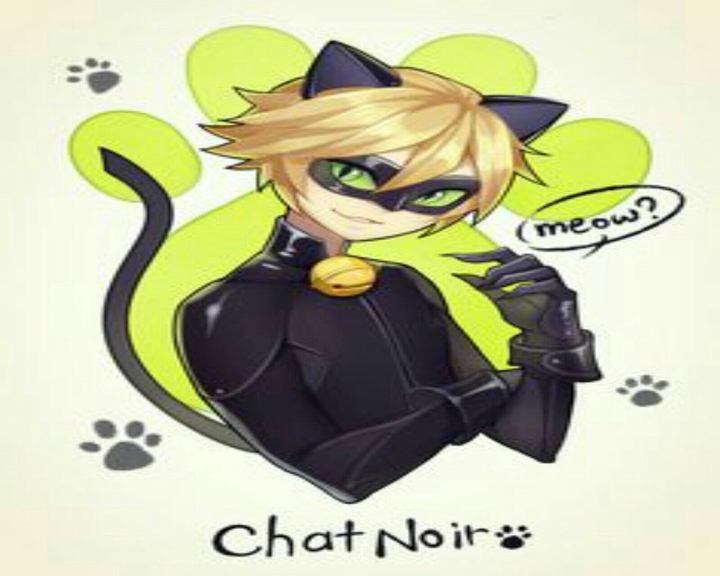 Chat Noir